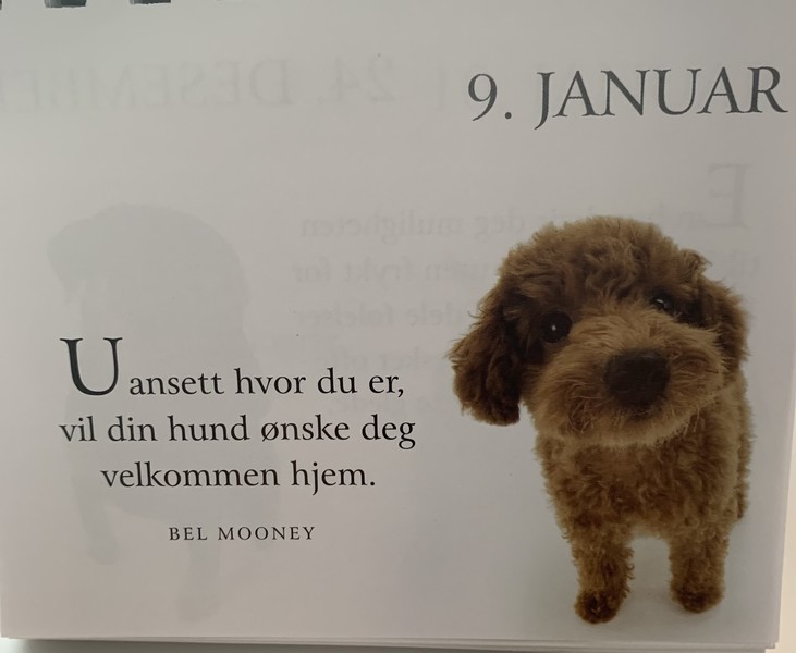 Klikk for å se forhåndsvisning